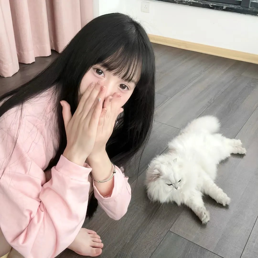 蓝色档案 在线观看
